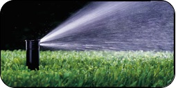 Photo of irrigation spayer