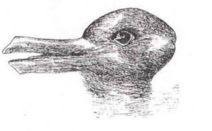 SEEPEX Duck Rabbit Paradigm 
