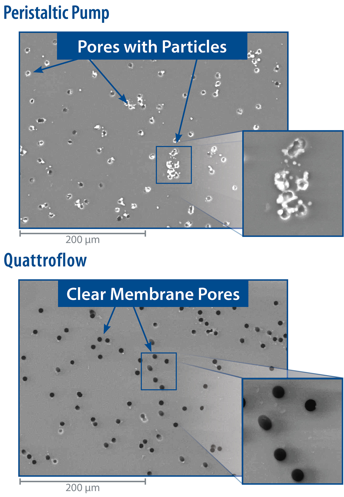 Quattroflow Particle Generation