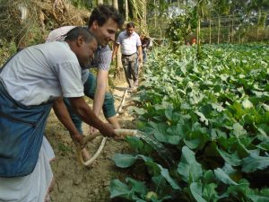 Kevin Simon waters some vegetables with Siddheswar, a farmer collaborating with Khethworks.