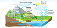 life cycle of water