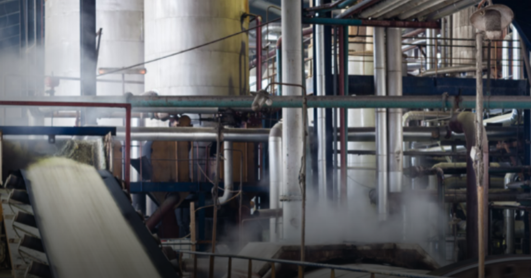 sugar processing plant