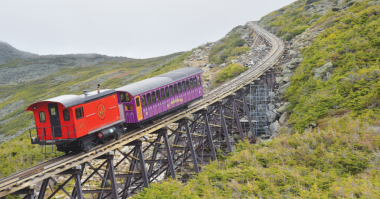 Altra Backstopping Clutches Solution For Cog Railway Coaches