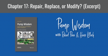 Pump Wisdom Chapter 17 Repair, Replace, or Modify (Excerpt)