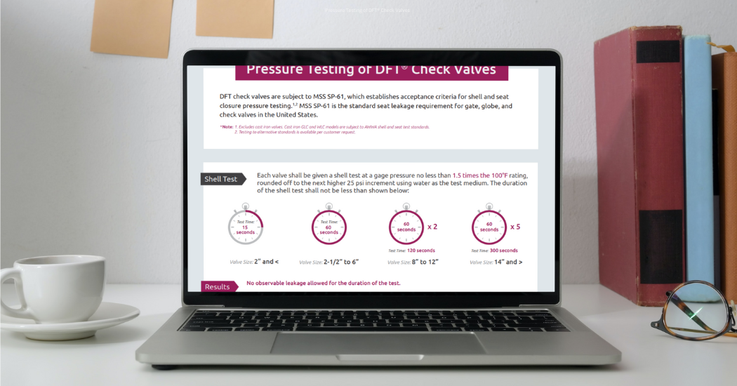 Pressure Testing of DFT® Check Valves [Infographic]