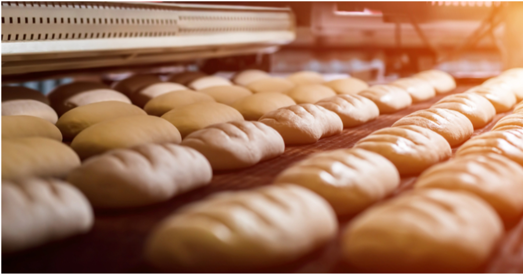 Optimize Performance of Food Conveyor Ovens Using Carbon Graphite Bearings