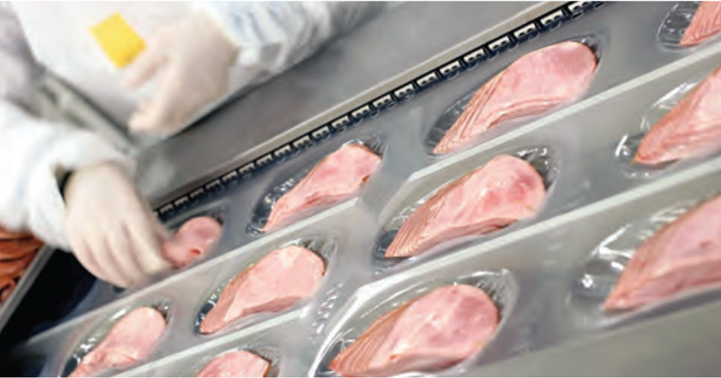 Aegis Protecting VFD-Driven Motors In Meat and Poultry