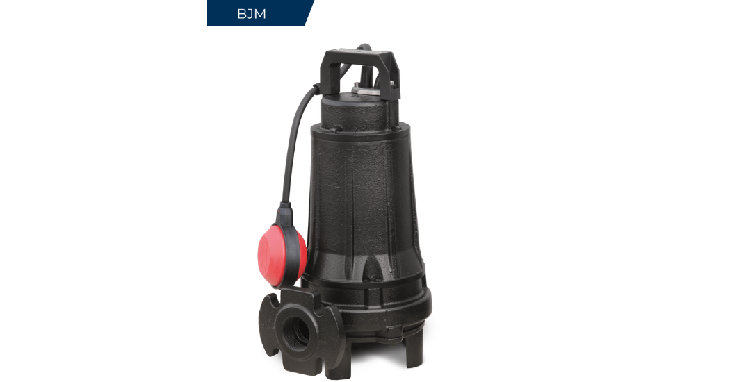 Introducing the New 60Hz Pumps by BJM Pumps® (1)