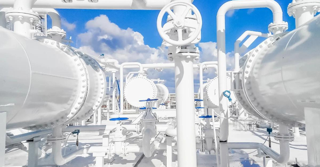 EGC Advanced Sealing Solutions for Improved Fugitive Emissions Control in API Valve Systems