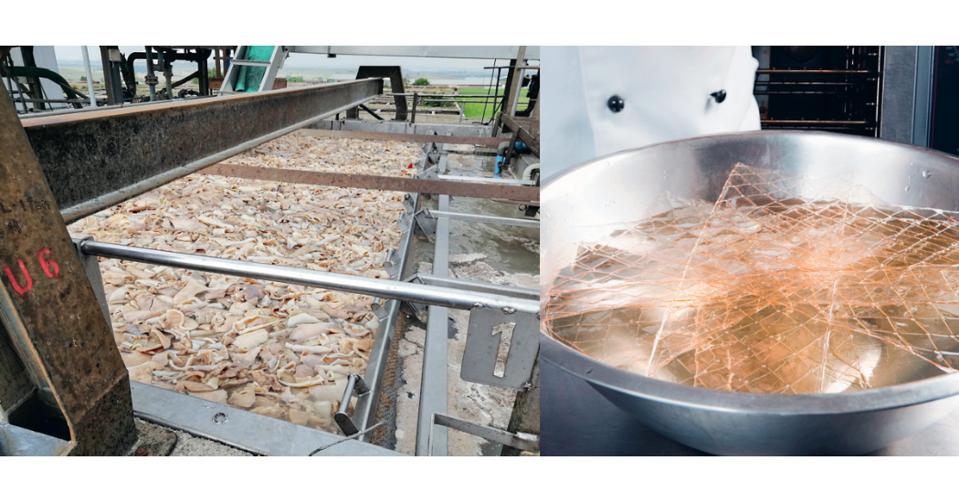 From Raw Material to Refined Product: Hidrostal's Purpose-Built Solutions for Gelatine Extraction