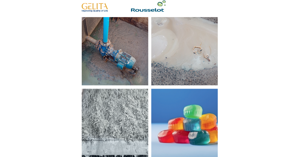 From Raw Material to Refined Product: Hidrostal's Purpose-Built Solutions for Gelatine Extraction