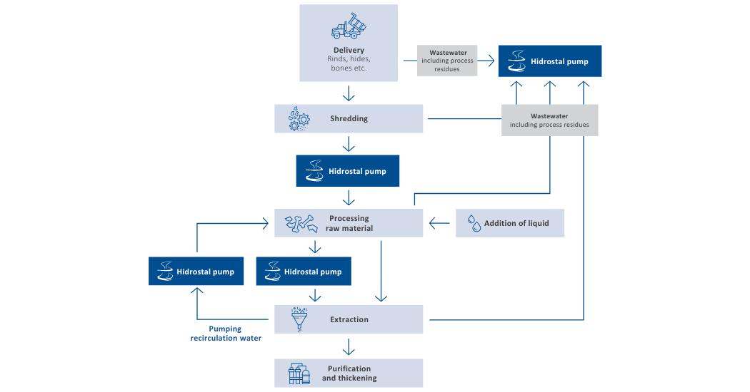 From Raw Material to Refined Product: Hidrostal's Purpose-Built Solutions for Gelatine Extraction