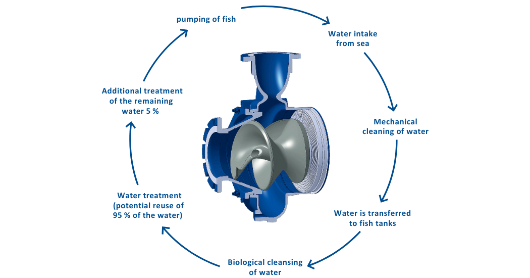 Sustainable Fish Farming: Hidrostal's Complete Aquaculture System Solutions