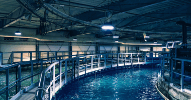 Sustainable Fish Farming: Hidrostal's Complete Aquaculture System Solutions