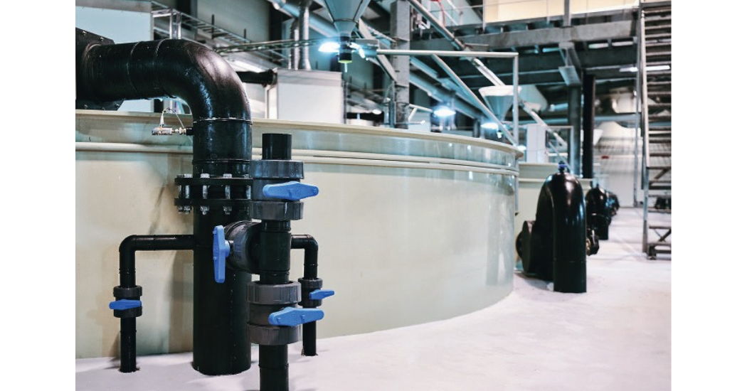 Sustainable Fish Farming: Hidrostal's Complete Aquaculture System Solutions