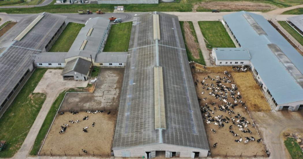 IFS Clog-Free Operation in Dairy and Poultry Wastewater Systems with High-Temperature Submersible Pumps