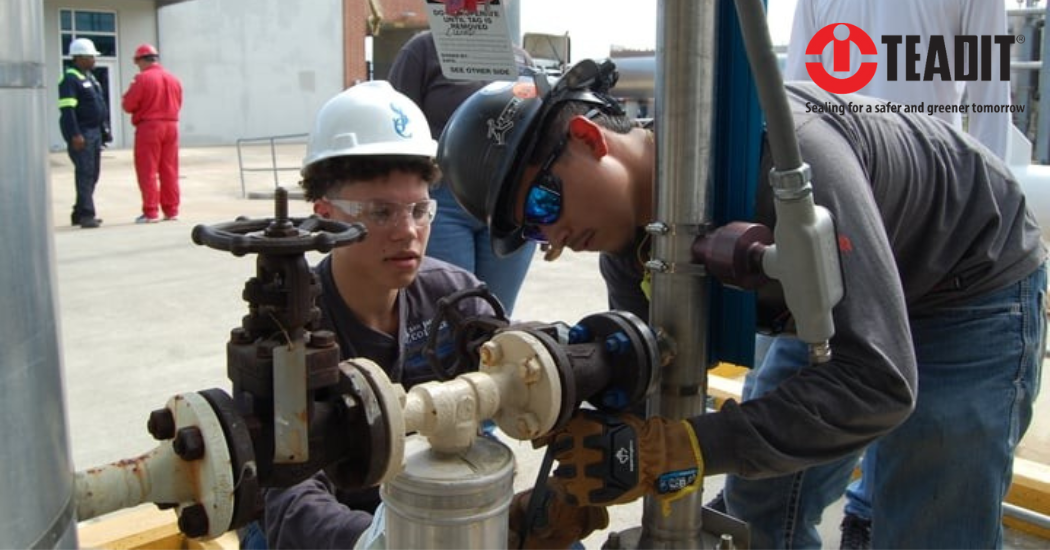 Teadit How to Effectively Seal Chemical Applications with Challenging Flanges