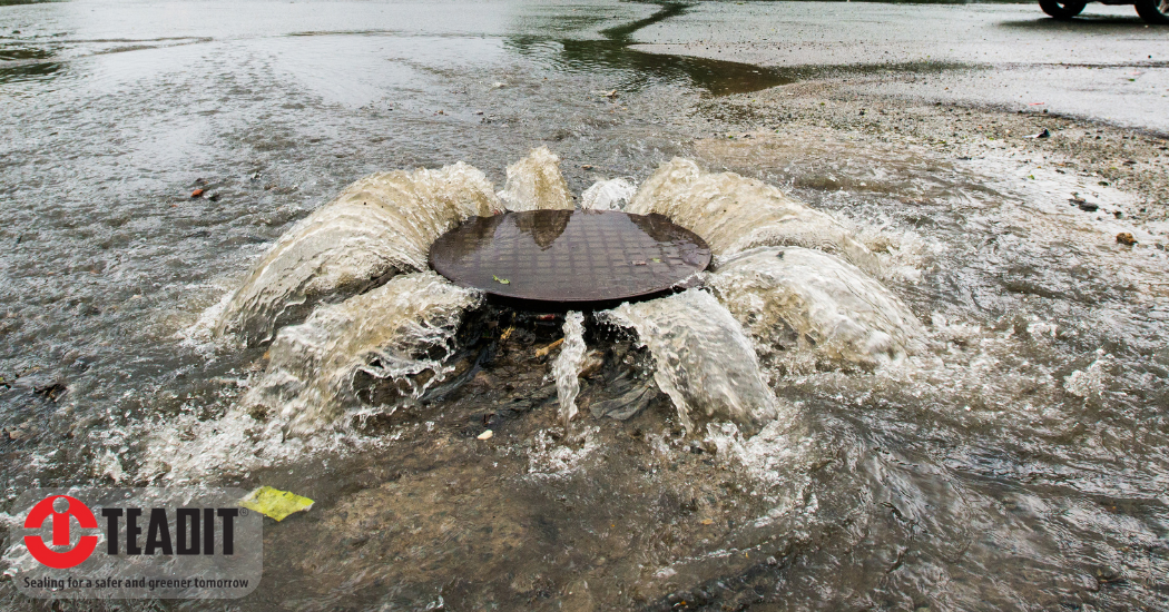 Teadit What Is BWON and Why Does It Matter?