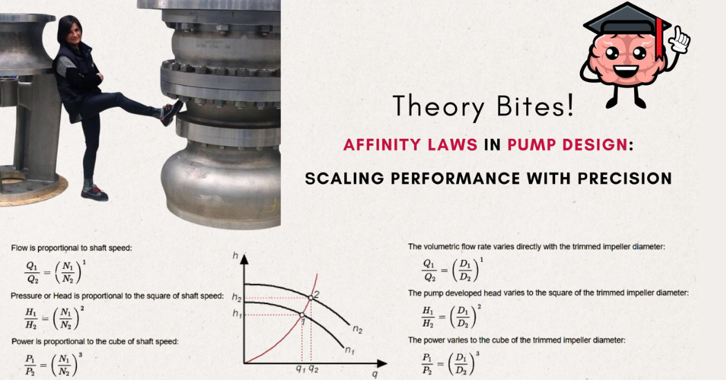 Understanding Affinity Laws in Pump Design: 𝗦𝗰𝗮𝗹𝗶𝗻𝗴 𝗣𝗲𝗿𝗳𝗼𝗿𝗺𝗮𝗻𝗰𝗲 𝘄𝗶𝘁𝗵 𝗣𝗿𝗲𝗰𝗶𝘀𝗶𝗼𝗻