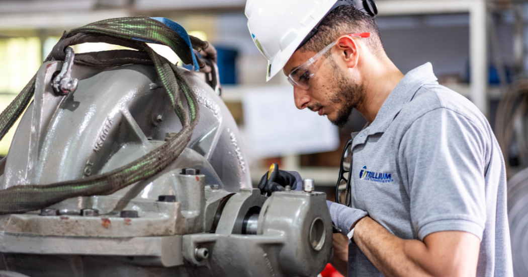 Trillium The Termomeccanica Pompe Difference