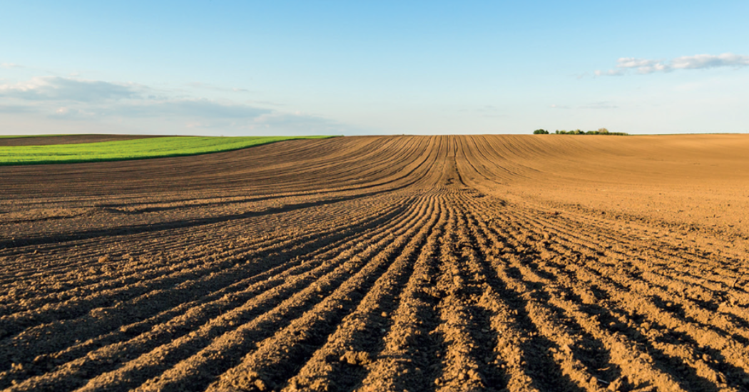 Teadit 10 Reasons Sealing Solutions Safeguard Our Food Supply