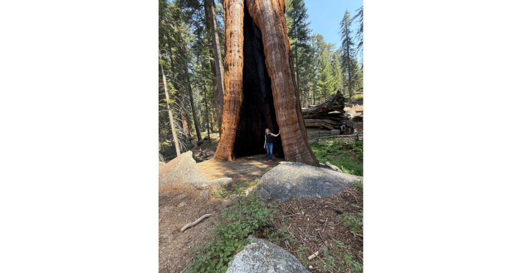 Exploring Innovation and Sustainability at Trillium in Fresno