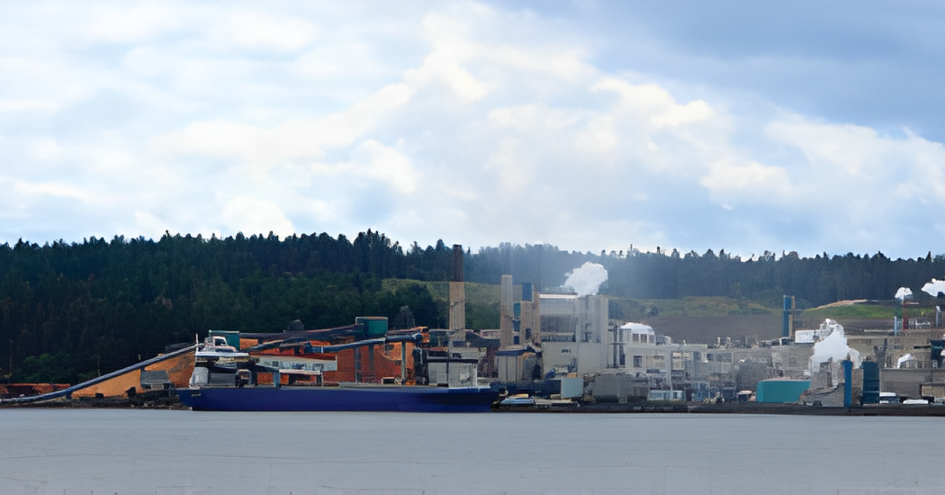 Vaughan How Vaughan Pumps Improve Pulp Mill Reliability and Reduce Downtime