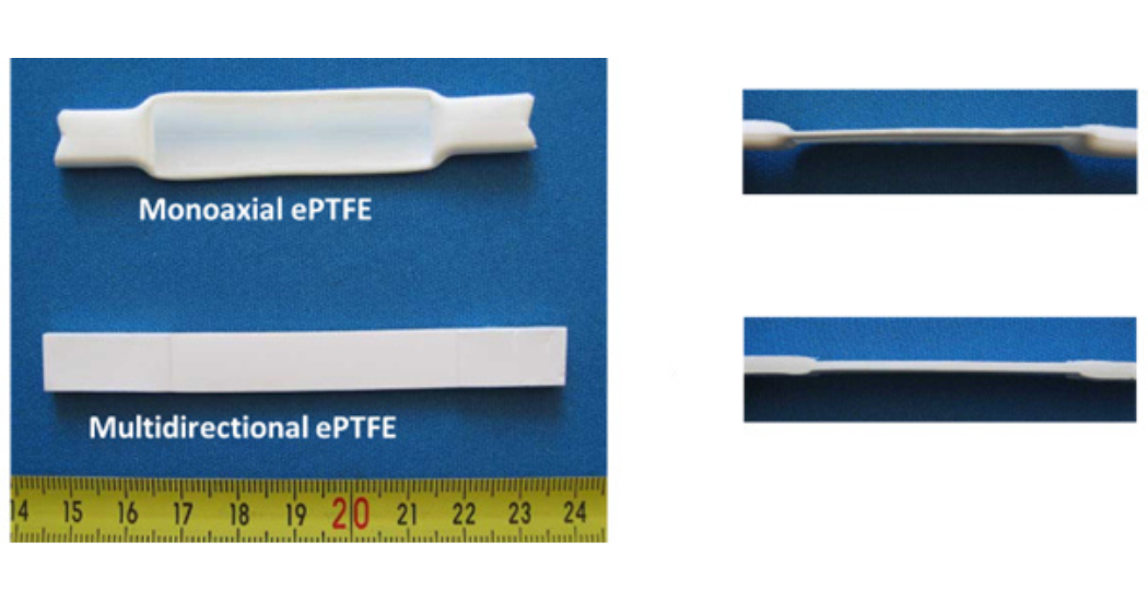 Teadit All You Need to Know for Effective Sealing Solutions